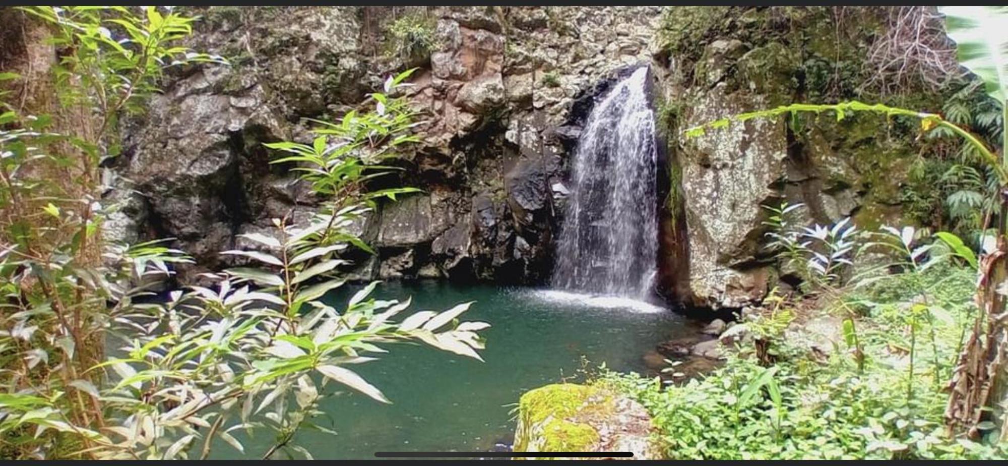 Chez Kevin Daire Saint-Leu Dış mekan fotoğraf